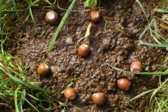 Petje-af-KidzKlix-winnaars-2020-006