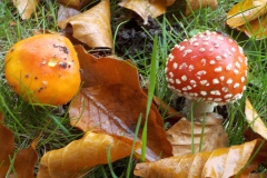 Petje-af-KidzKlix-winnaars-2020-009