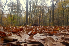 Petje-af-KidzKlix-winnaars-2020-010