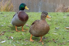 Petje-af-KidzKlix-winnaars-2020-014