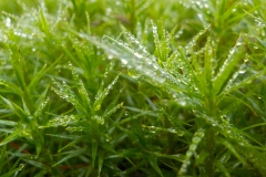 Petje-af-KidzKlix-winnaars-2020-015