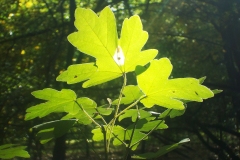 Petje-af-KidzKlix-winnaars-2020-016