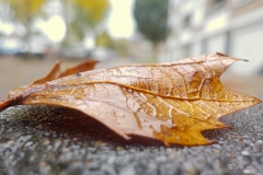 Petje-af-KidzKlix-winnaars-2020-018