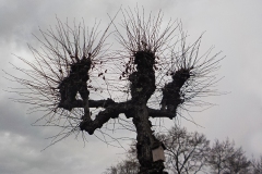 Petje-af-KidzKlix-winnaars-2020-019