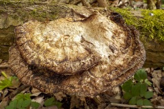 Selectie-Petje-af-2022-KidzKlix-01