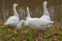 Selectie-Petje-af-2022-KidzKlix-02