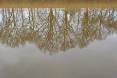 Selectie-Petje-af-2022-KidzKlix-03