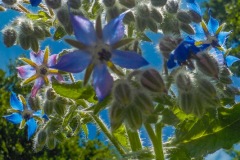 Selectie-Petje-af-2022-KidzKlix-04