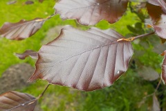 Selectie-Petje-af-2022-KidzKlix-05