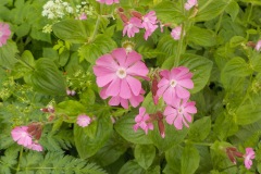 Selectie-Petje-af-2022-KidzKlix-06