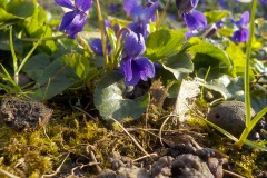 Selectie-Petje-af-2022-KidzKlix-07