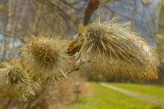 Selectie-Petje-af-2022-KidzKlix-09