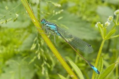 Selectie-Petje-af-2022-KidzKlix-10