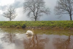 Selectie-Petje-af-2022-KidzKlix-12