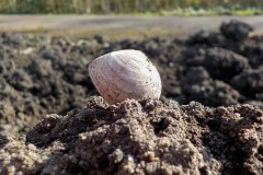 Selectie-Petje-af-2022-KidzKlix-14