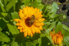 Selectie-Petje-af-2022-KidzKlix-15