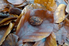 Selectie-Petje-af-2022-KidzKlix-16