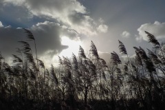 Selectie-Petje-af-2022-KidzKlix-18