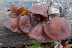 Selectie-Petje-af-2022-KidzKlix-19