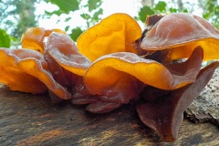 Selectie-Petje-af-2022-KidzKlix-21