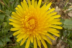 Selectie-Petje-af-2022-KidzKlix-22