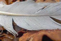 Selectie-Petje-af-2022-KidzKlix-23