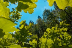 Selectie-Petje-af-2022-KidzKlix-24