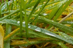 Selectie-Petje-af-2022-KidzKlix-25