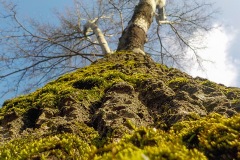 Selectie-Petje-af-2022-KidzKlix-26