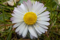 Selectie-Petje-af-2022-KidzKlix-29