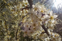 Selectie-Petje-af-2022-KidzKlix-30