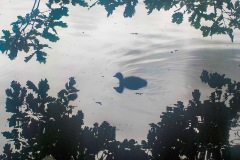 Selectie-Petje-af-2022-KidzKlix-31