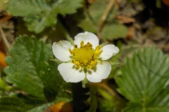 Selectie-Petje-af-2022-KidzKlix-32