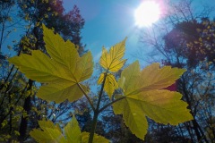 Selectie-Petje-af-2022-KidzKlix-35