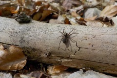 Selectie-Petje-af-2022-KidzKlix-36