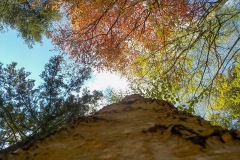 Selectie-Petje-af-2022-KidzKlix-37