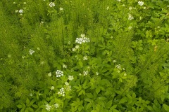 Selectie-Petje-af-2022-KidzKlix-38