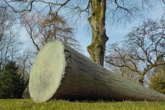 Selectie-Petje-af-2022-KidzKlix-39