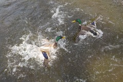 Selectie-Petje-af-2022-KidzKlix-40