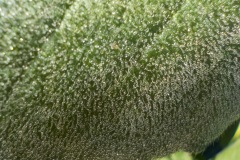 16-21-2e