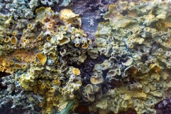39.22-1e