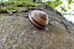 3e-plek-012-5