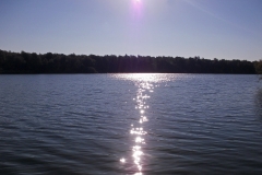 Winnaars Stad en Natuur najaar 2018-01