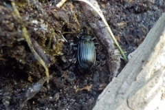 Winnaars Stad en Natuur najaar 2018-03