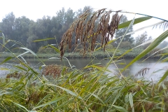 Winnaars Stad en Natuur najaar 2018-04