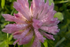 Winnaars Stad en Natuur najaar 2018-08
