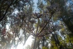 Winnaars Stad en Natuur najaar 2018-09