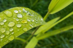 Winnaars Stad en Natuur najaar 2018-11