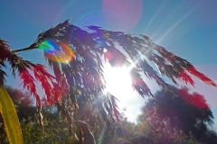 Winnaars Stad en Natuur najaar 2018-13