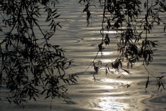 Winnaars Stad en Natuur najaar 2018-14